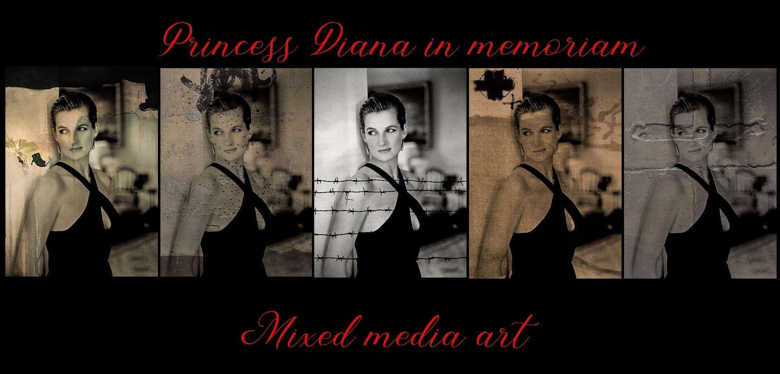 Princess Diana  and the Non Accident Theory 